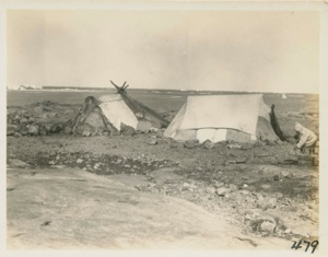 Image of Eskimo [Inuit] Tupiks Summer tents of Eskimos in Baffin Land.